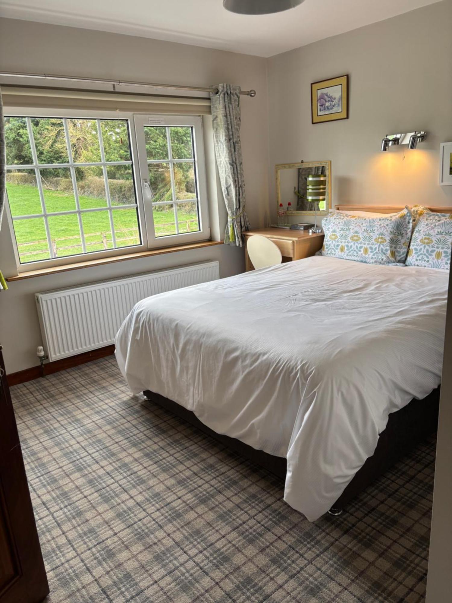 Ballindrum Farm B&B Athy Kültér fotó
