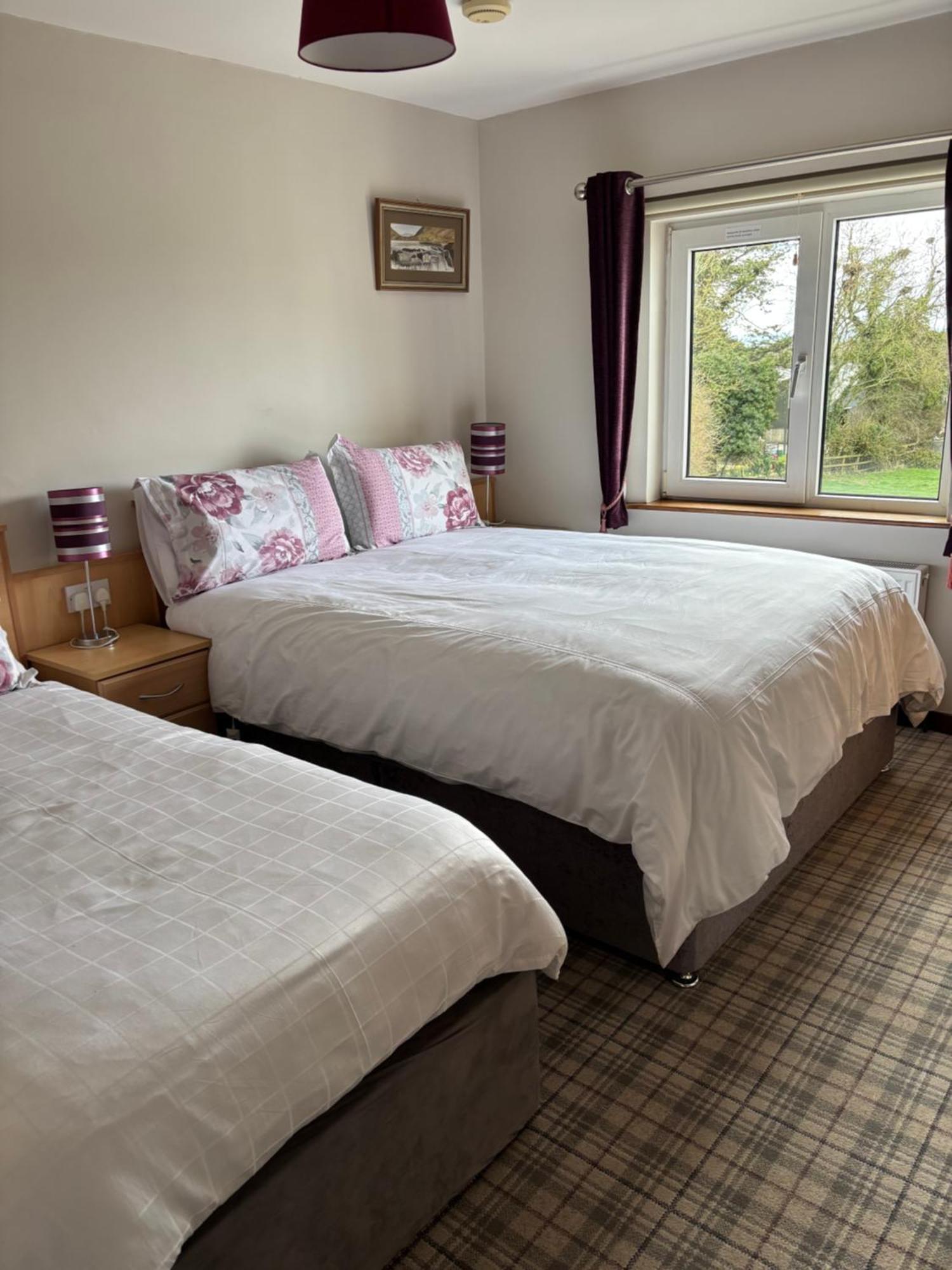 Ballindrum Farm B&B Athy Kültér fotó