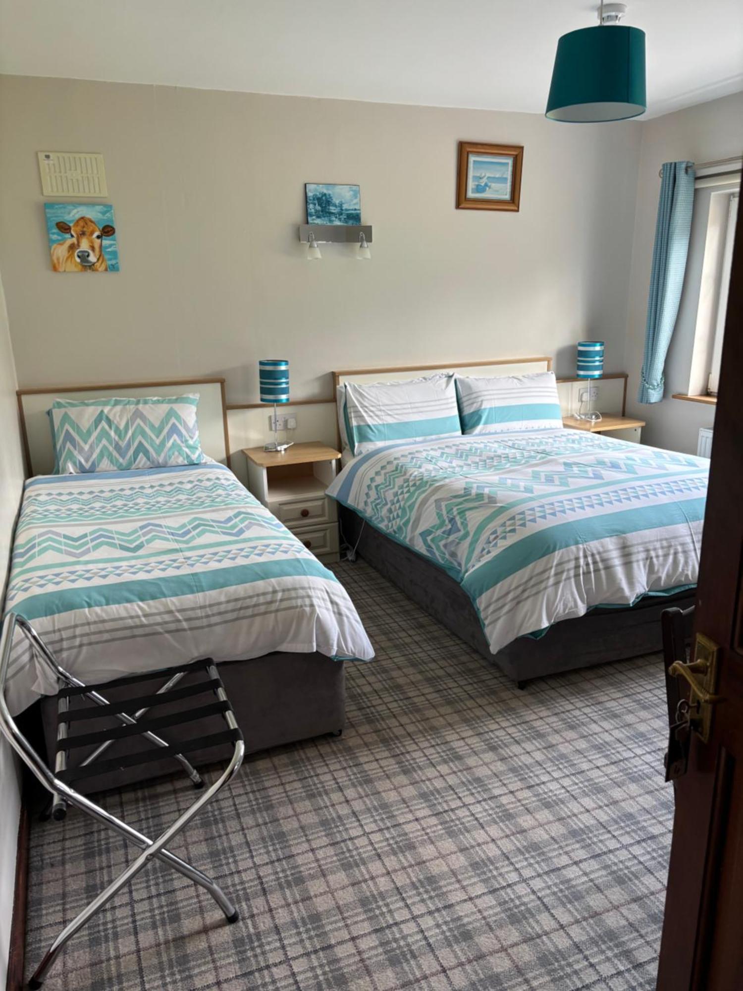 Ballindrum Farm B&B Athy Kültér fotó