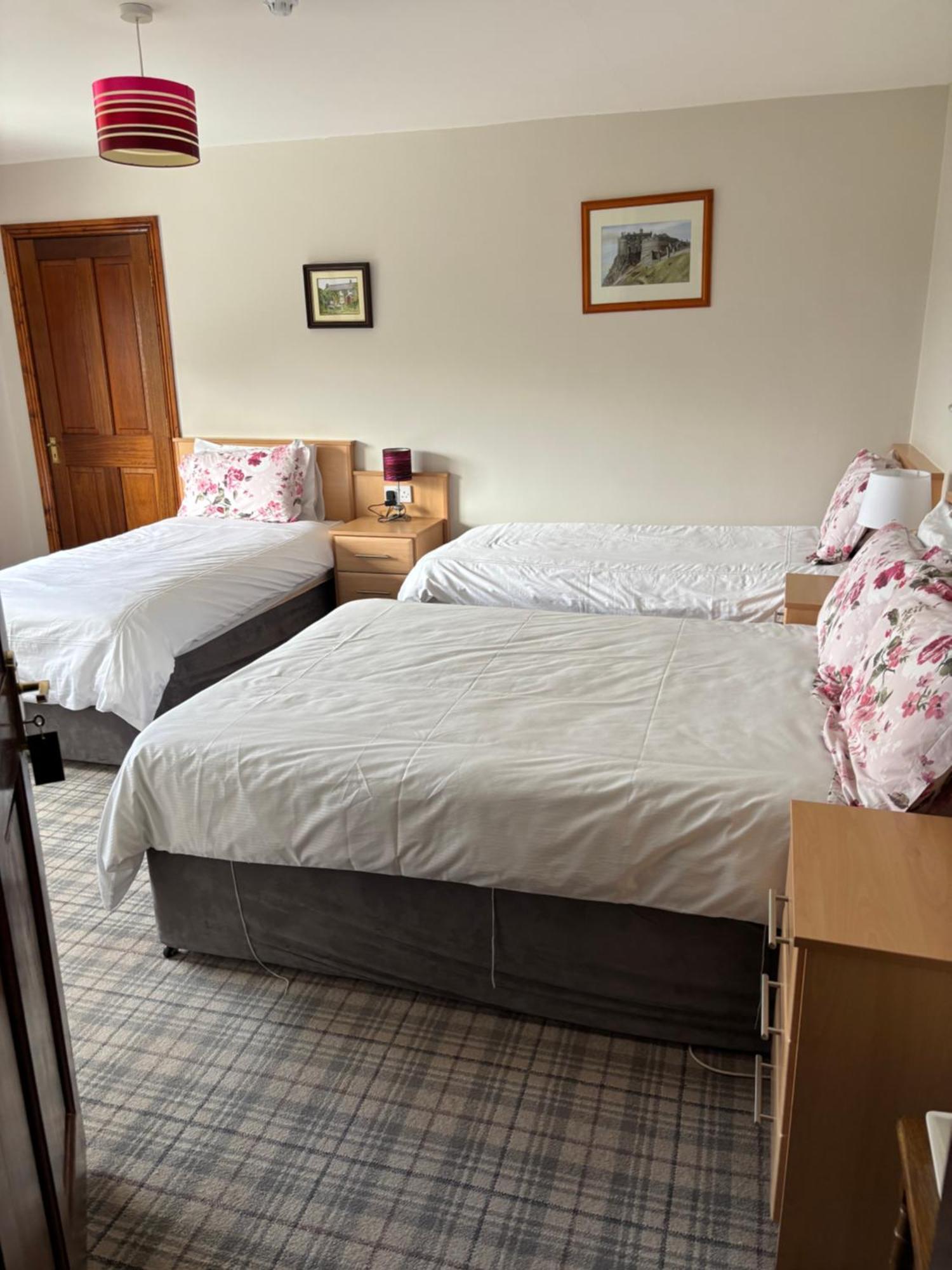 Ballindrum Farm B&B Athy Kültér fotó