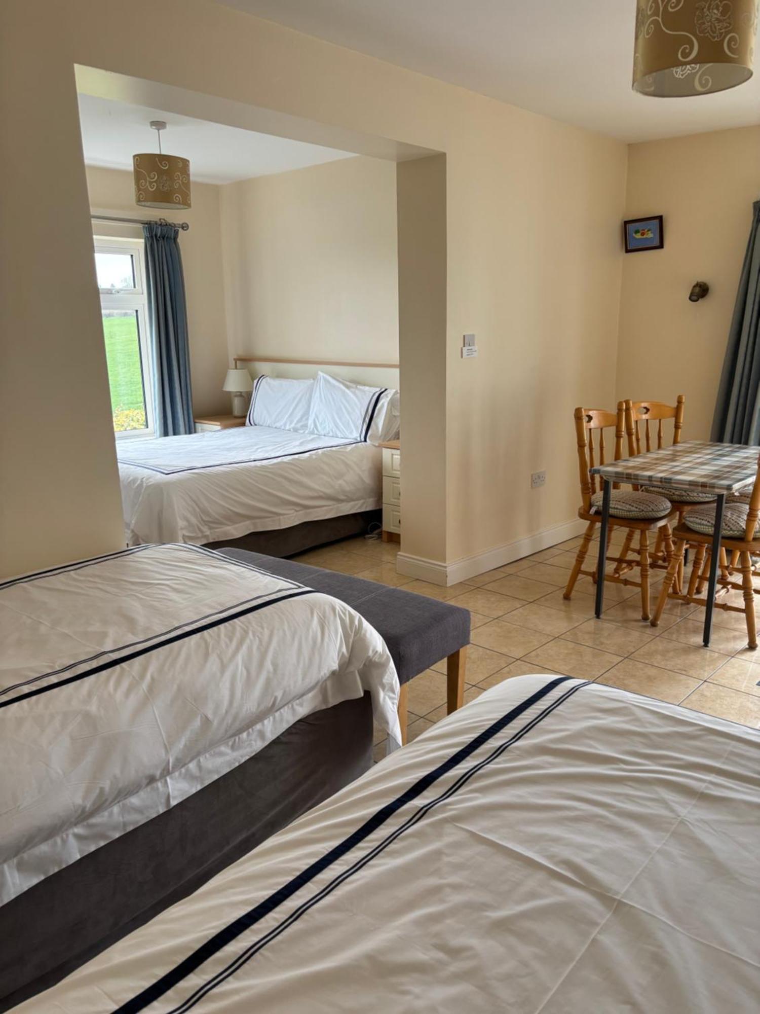 Ballindrum Farm B&B Athy Kültér fotó