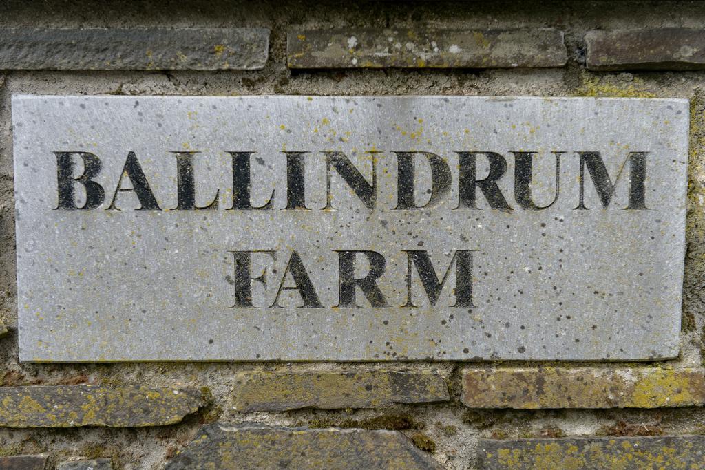 Ballindrum Farm B&B Athy Kültér fotó