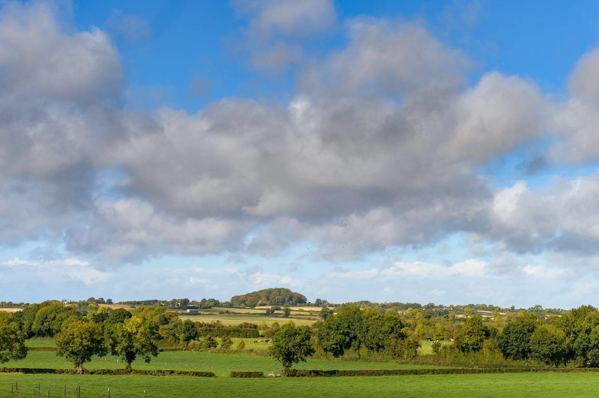 Ballindrum Farm B&B Athy Kültér fotó