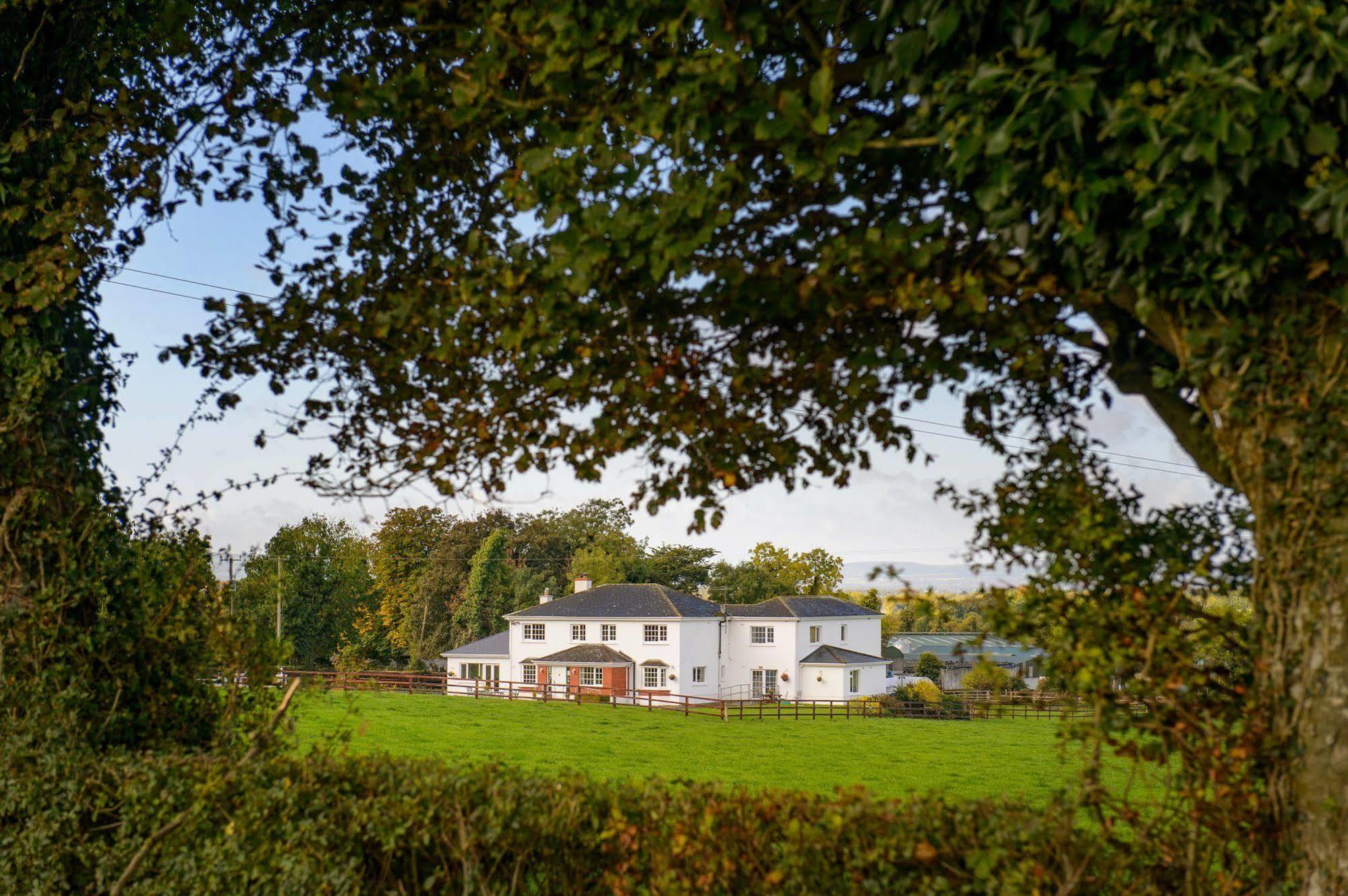 Ballindrum Farm B&B Athy Kültér fotó