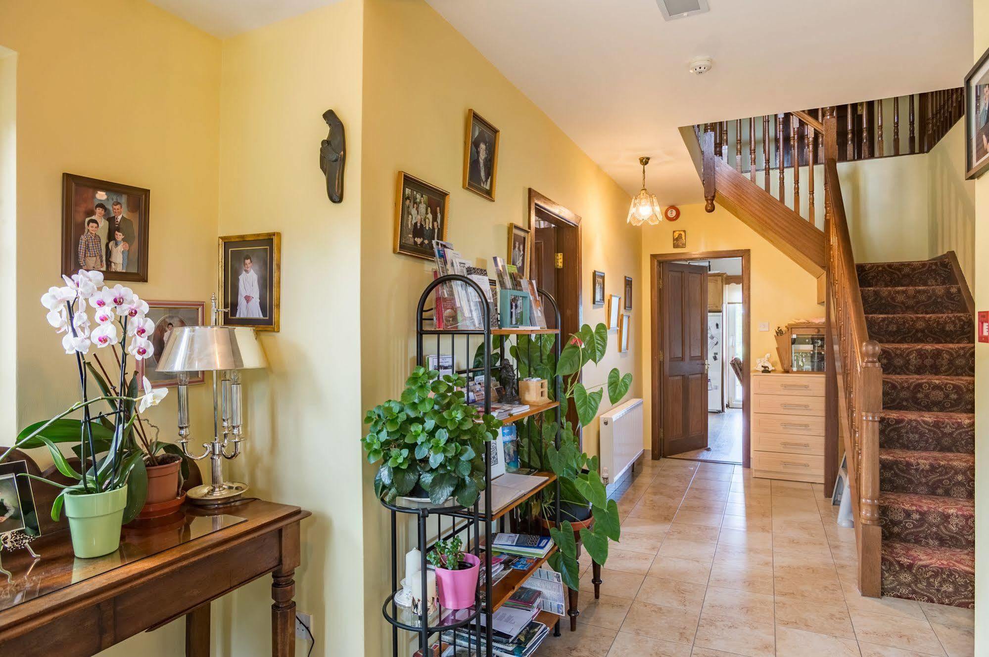 Ballindrum Farm B&B Athy Kültér fotó