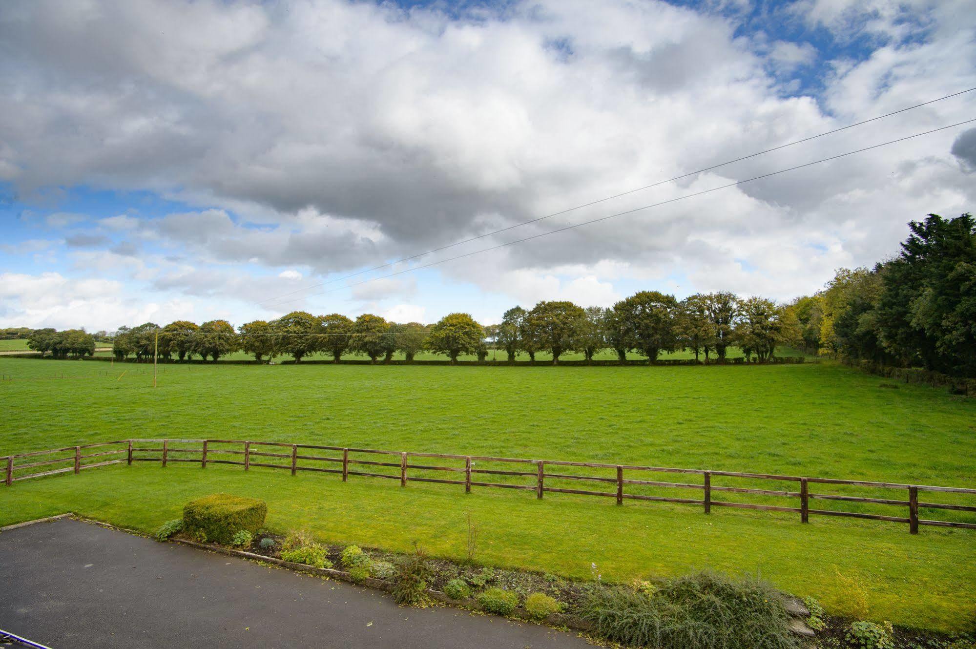 Ballindrum Farm B&B Athy Kültér fotó