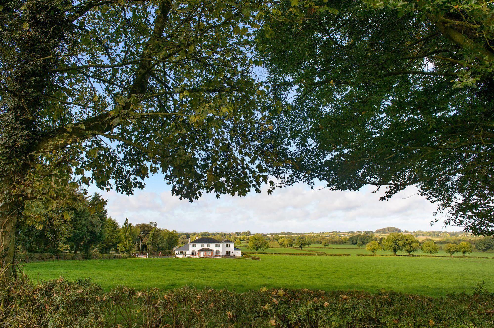 Ballindrum Farm B&B Athy Kültér fotó